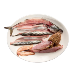 TALLER DE PEIXOS