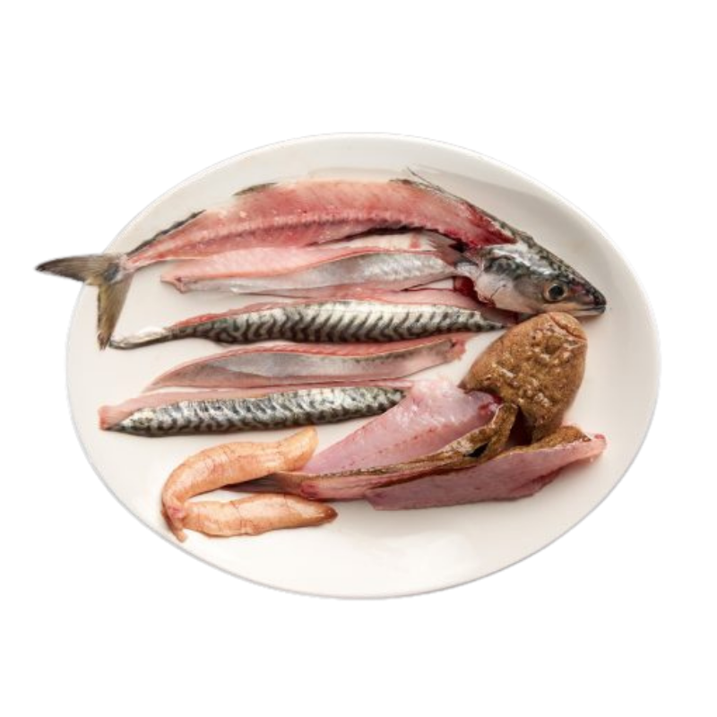 TALLER DE PEIXOS